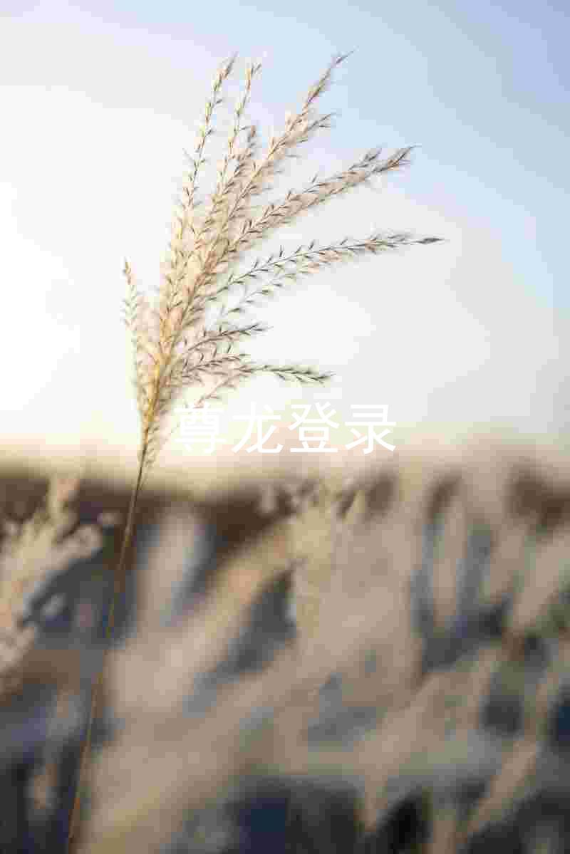尊龙登录