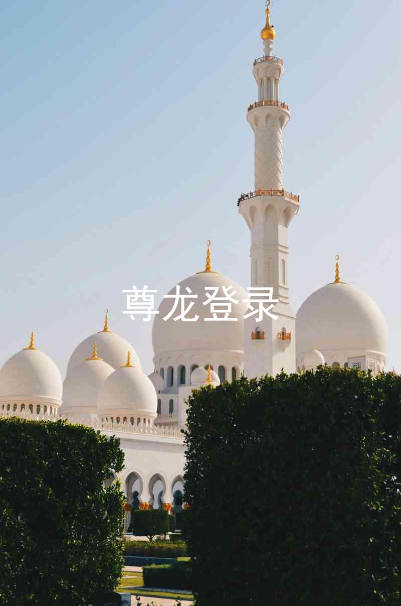 尊龙登录