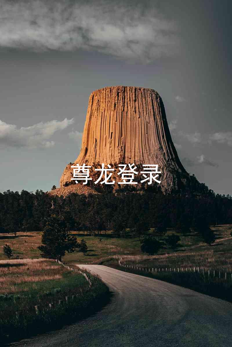 尊龙登录