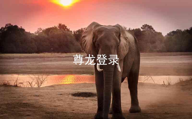 尊龙登录