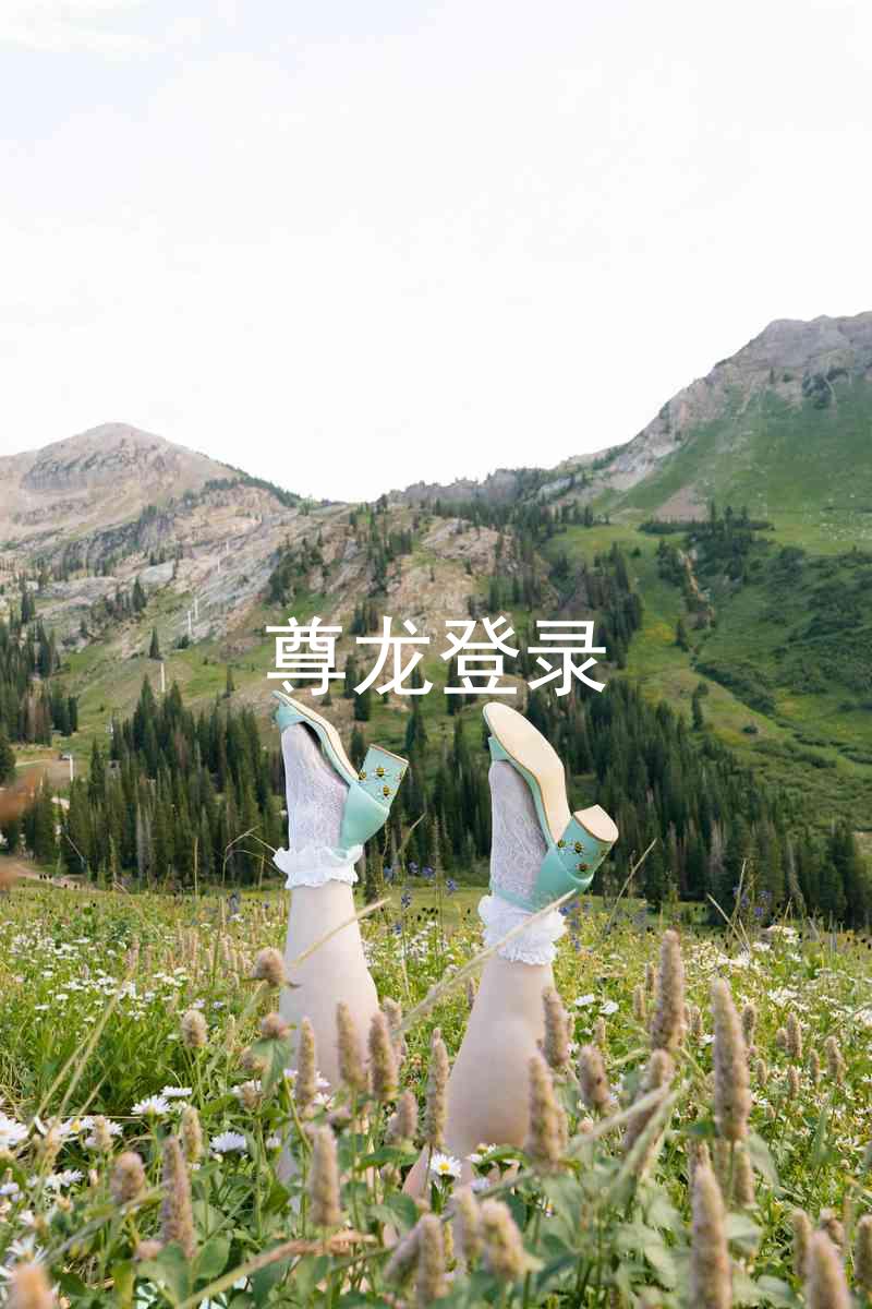尊龙登录